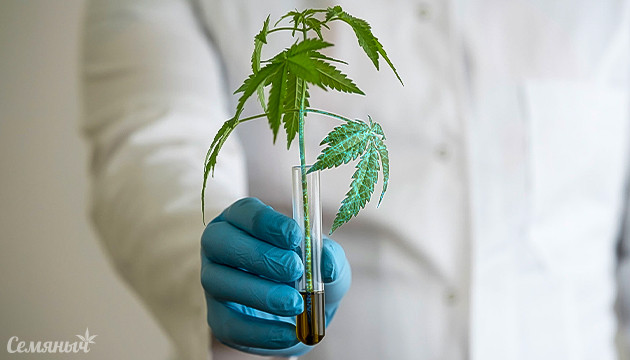 Ферменты для марихуаны Ферменты для конопли