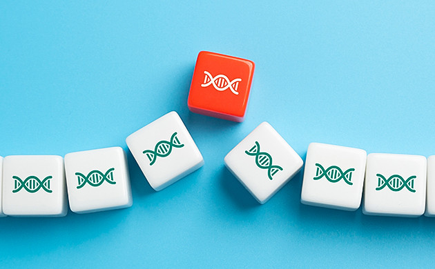 Естественные и искусственные мутации Генетическая мутация