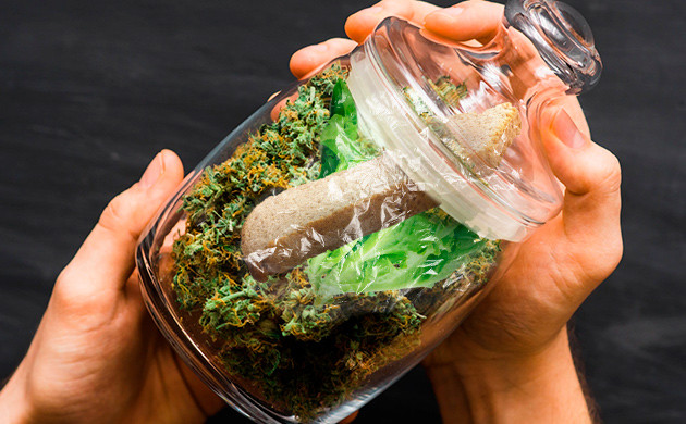 Поместить все компоненты в герметичную банку Герметичный контейнер с соцветиями, салатом и хлебом