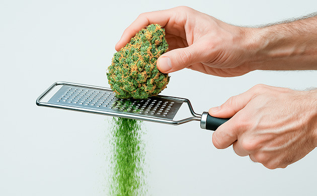 Чрезмерная сухость и влажность — признак плохой конопли Как определить плохую марихуану по текстуре