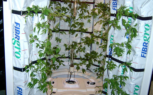 Техника вертикального выращивания Колизей Гроубокс цилиндрической формы