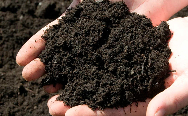 Почва чернозем Черноземный тип почвы