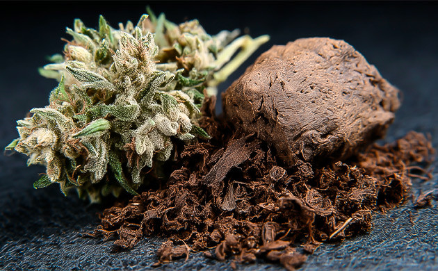 Как гуано летучих мышей стали золотом сельского хозяйства История гуано