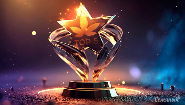 Индика: неприхотливость и урожайность Убойный эффект индики: спокойствие и релакс