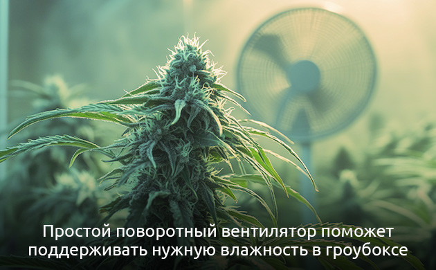 Хорошая вентиляция и обдув площади культивации Хорошая вентиляция