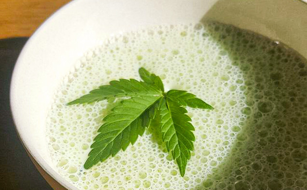 Напиток из молока и листьев конопли Молоко и конопля