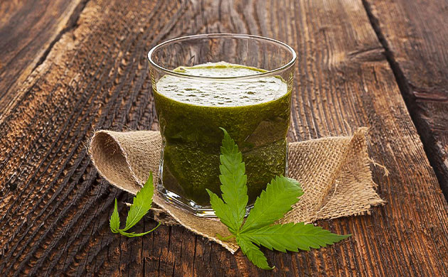 Напитки с добавлением каннабиса Напитки содержащие каннабис