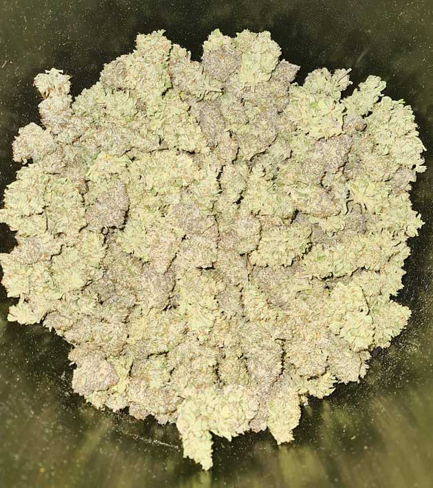 Длительность и результат грова Итоги грова Banana Purple Punch Auto