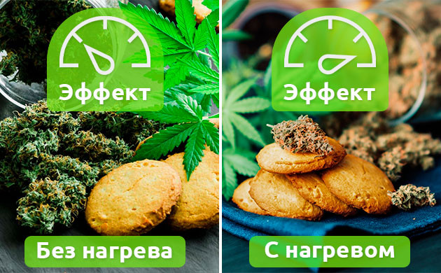 Оказание психоактивного эффекта после декарбоксилирования конопли Мощность эффекта при декарбоксилировании и без него