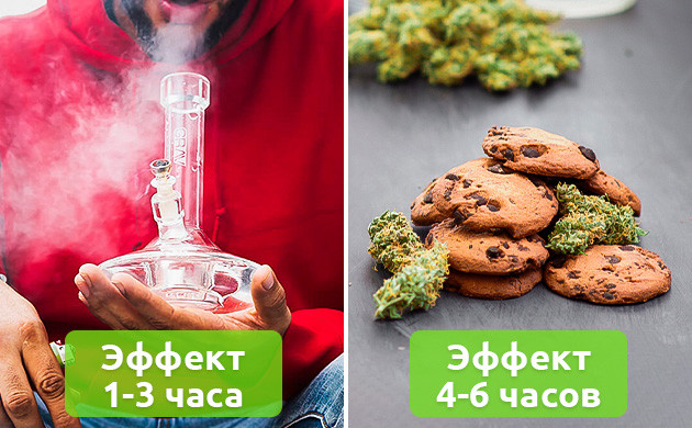 Отличие эффекта от способа употребления марихуаны Длительность эффекта от попадания конопли через легкие и через желудок