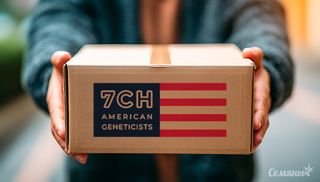Новые сорта от сидбанка 7CH American Новинки от 7CH American