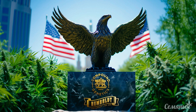 Новые сорта с Американской генетикой Новые линейки американских сортов