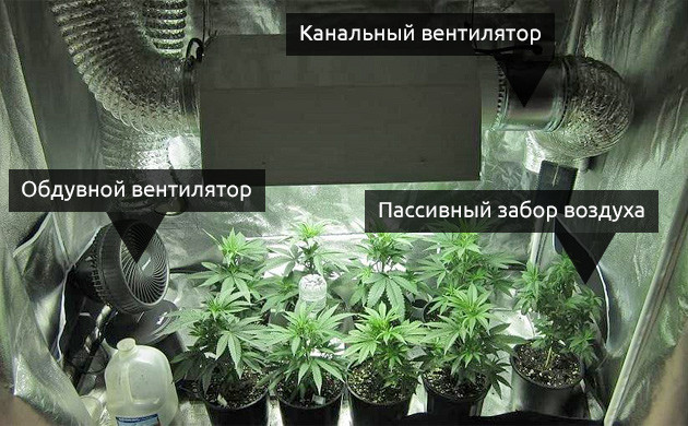 Циркуляция воздуха в гроуруме Внутренняя циркуляция в гроубоксе