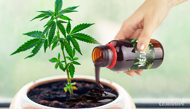 Подкормка конопли мелассой Меласса для конопли
