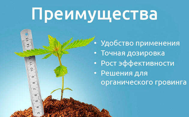 Преимущества бустеров цветения Преимущества стимуляторов цветения для каннабиса