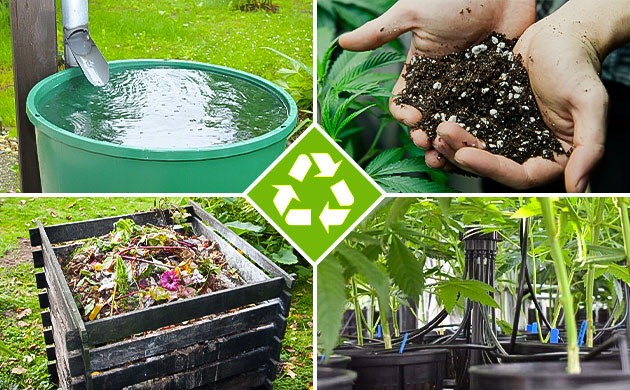 Экологическая устойчивость в гровинге Уменьшение углеродного следа