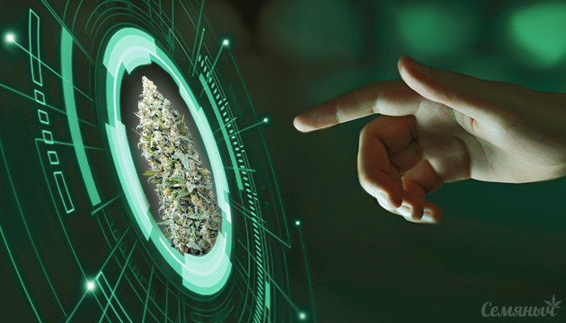 Узнай, какой сорт тебе нужен