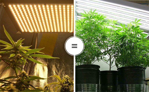 Как выбрать фитопанели и квантумборды для выращивания марихуаны Фитопанели для выращивания конопли