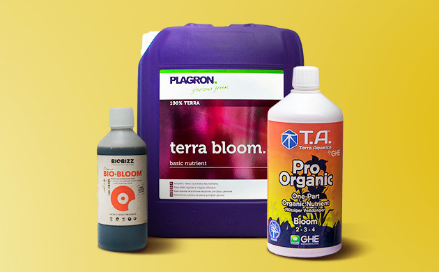 Плохо если уровень pH грунта ниже 5 Привести уровень pH в норму