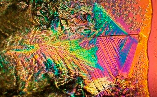 Минеральные соли внутри тканей каннабиса Распределение минеральных солей