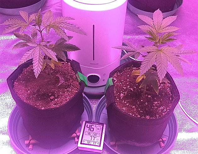 Повышение мощности света