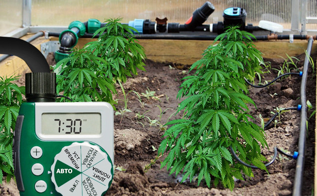 Автополив с насосом и таймером Автополив с таймером