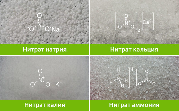 Основные нитраты Формулы нитрата натрия, кальция, калия и аммония