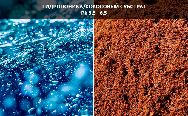 Питательный раствор для автополива конопли Раствор для автополива конопли