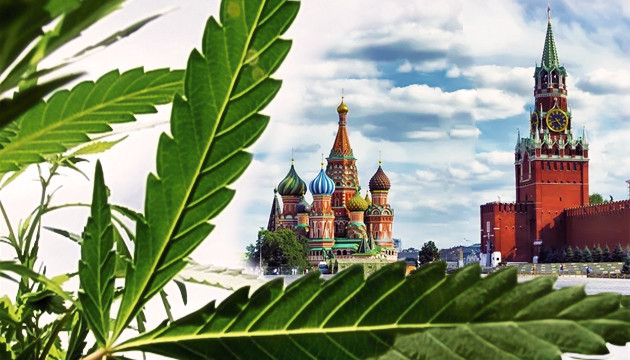 Легализация марихуаны в России Марихуана в России