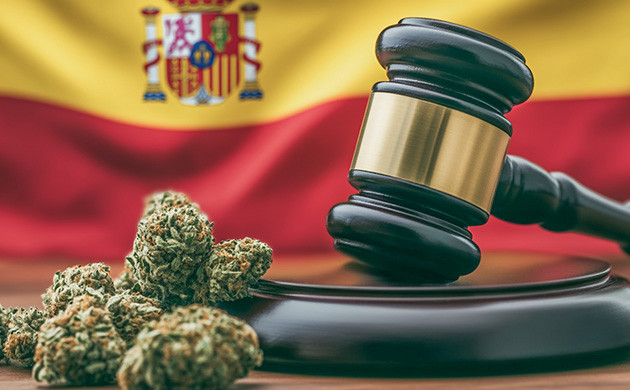 Неоднозначные нормы каннабиса в Испании