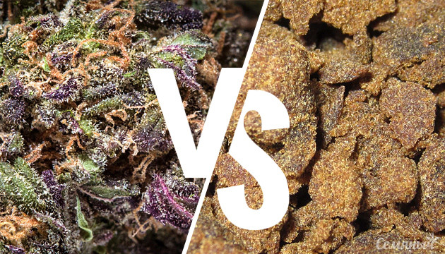 Чем отличается хеш и марихуана Разница между хешем и коноплей