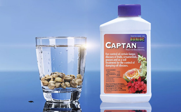 Дезинфекция семян конопли с помощью Captan Captan для семян конопли