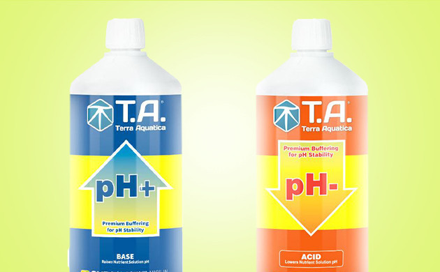 Питание каннабиса в DWC Удобрения для DWC: как избежать ошибок в подкормке конопли