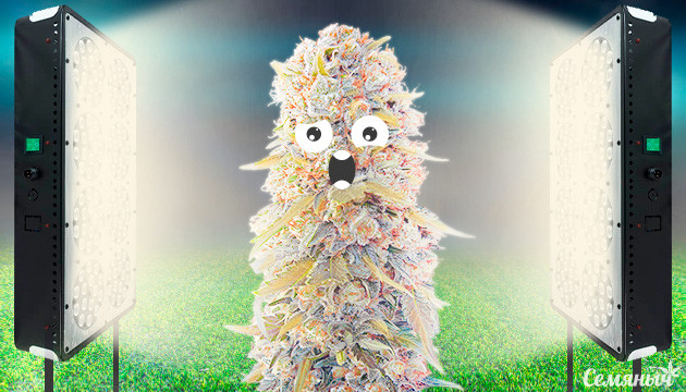 Признаки и причины переизбытка света Переизбыток освещения