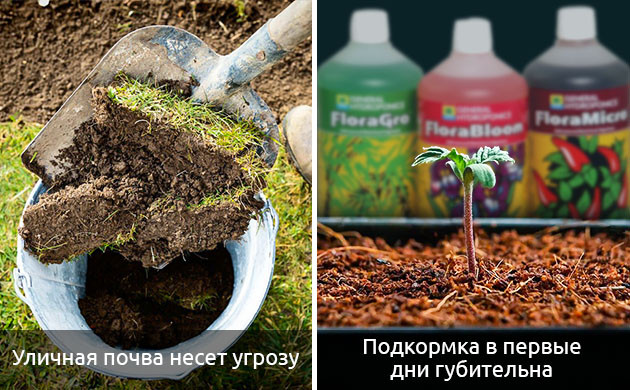 Решение проблем с почвой и питательными веществами Удобрение проблемной почвы