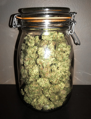 Банка шишек марихуаны сорта + Speed Auto Харвест сорта марихуаны + Speed Auto