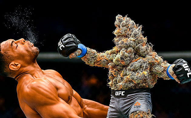 Терпеновый профиль и эффект сорта Аромат, вкус и эффект AK-48