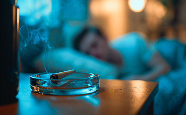 Бессонница и каннабис: как терпены улучшают качество сна Как терпены помогают заснуть