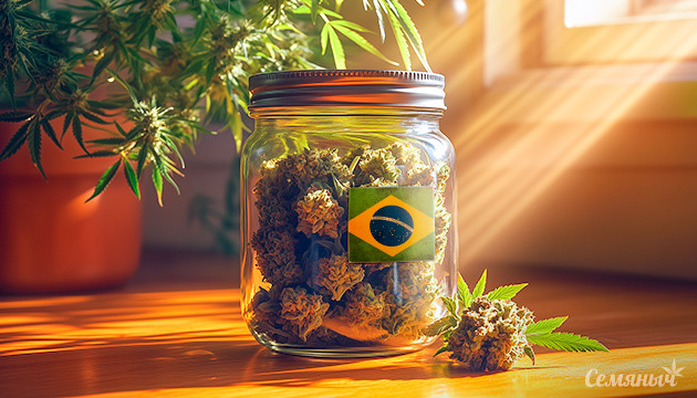 Верховный суд Бразилии о хранении марихуаны Историческое решение: декриминализация хранения в Бразилии