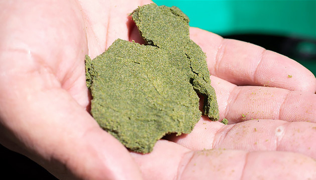 Приготовление гашиша из кифа Гашиш из кифа