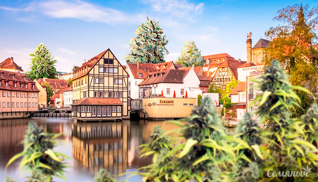 Легалайз в Германии Хранение и выращивание каннабиса стало разрешено в Германии