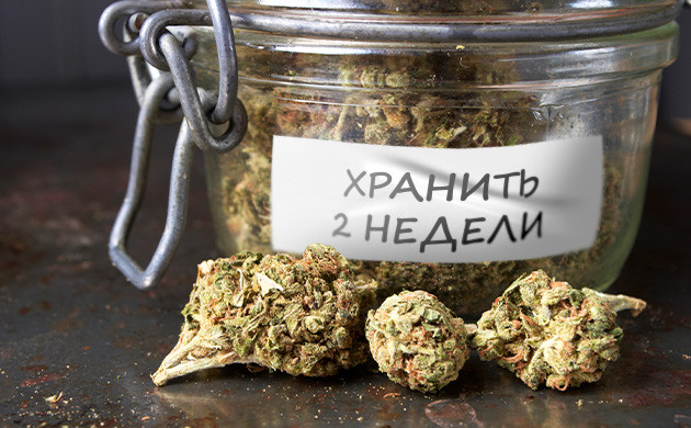 Продолжительность пролечки: мифы и реальность Современные тренды в пролечке марихуаны