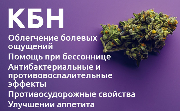 Терапевтические свойства КБН Будущее каннабинола в медицине