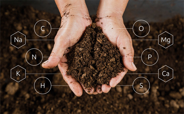 Каким должен быть грунт Состав почвы