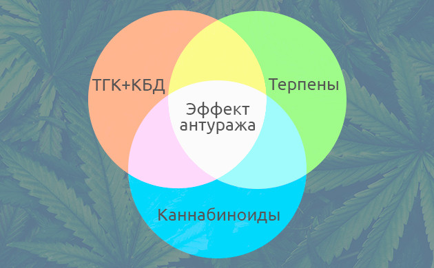 Синергия ТГК и КБД