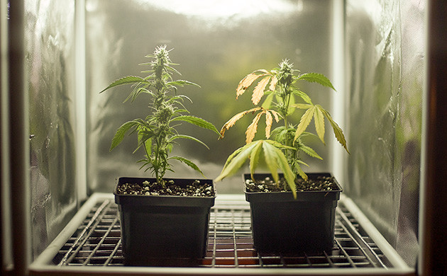 Ошибки гровера: путь к успеху Учимся на ошибках в гровинге