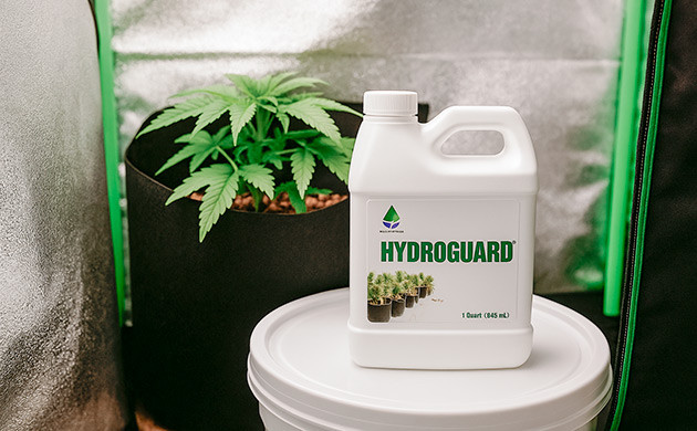 Биологический метод для эффективной борьбы с патогенной микрофлорой Полезные бактерии