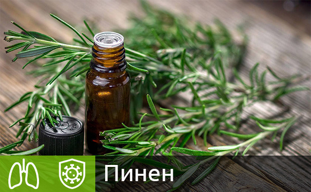 Пинен в конопле Терпен пинен