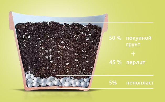 Первый вариант почвосмеси Рецепт почвосмеси из покупного грунта