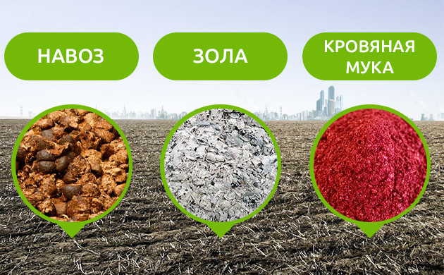 Компоненты для обогащения почвы азотом и фосфором Смесь из навоза, золы и кровяной муки